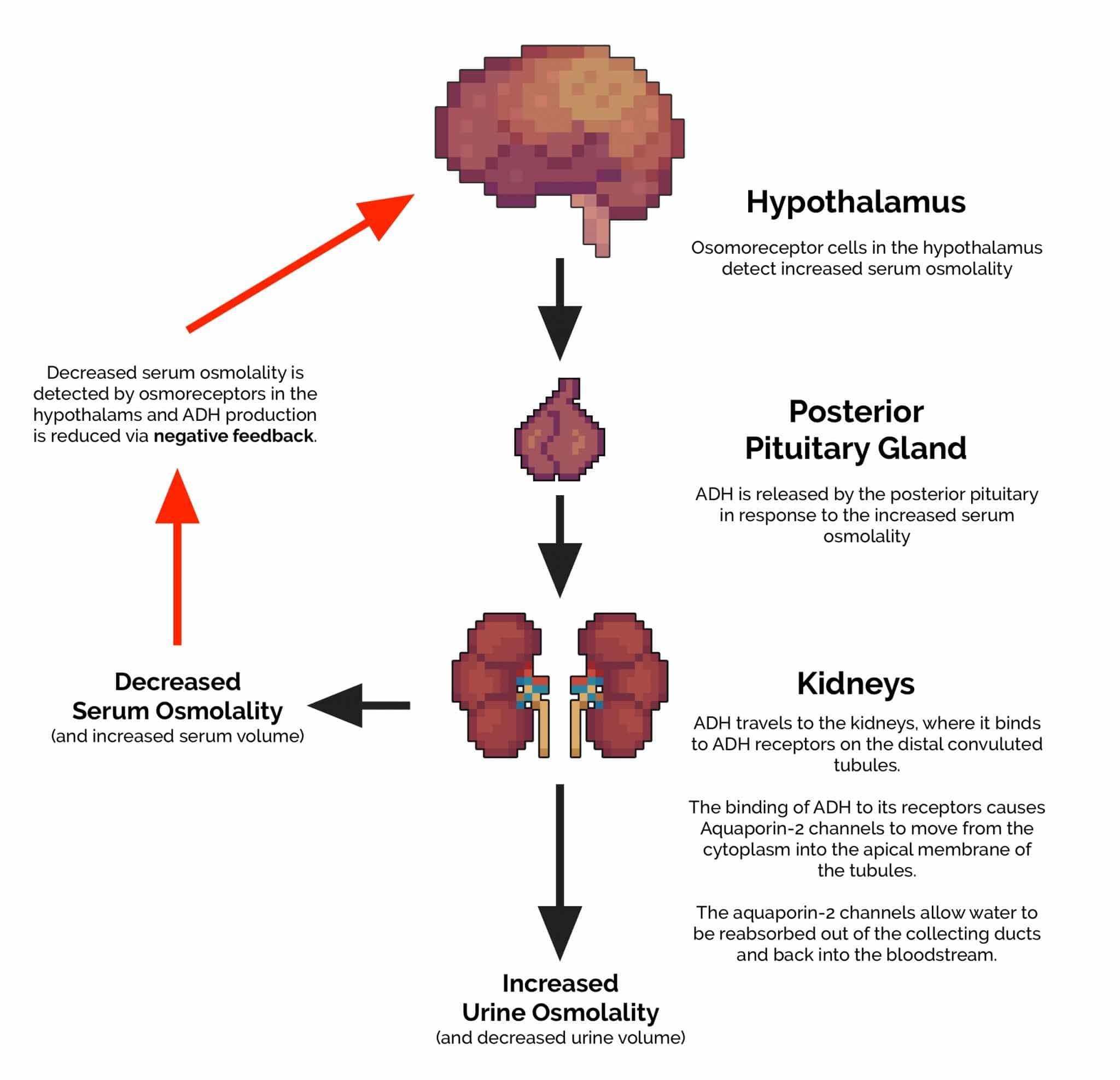 Pasted image 20241222123336.png