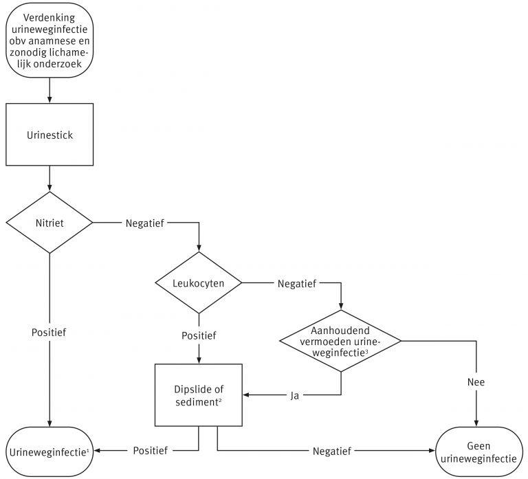 Pasted image 20241222142549.png