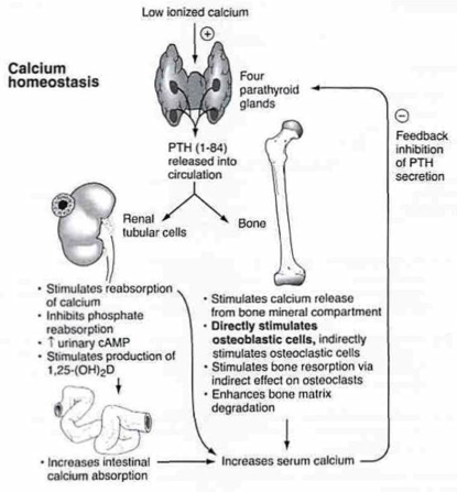 Pasted image 20241222160415.png