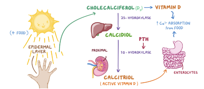 Pasted image 20241222160846.png