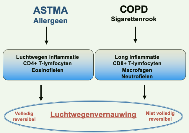 Pasted image 20241228123850.png