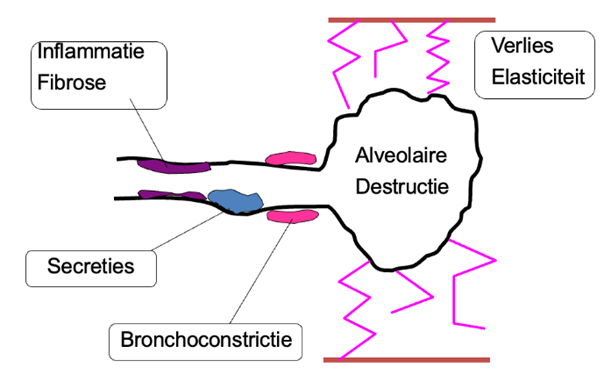 Pasted image 20241228124244.png