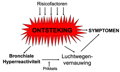 Pasted image 20241228140558.png