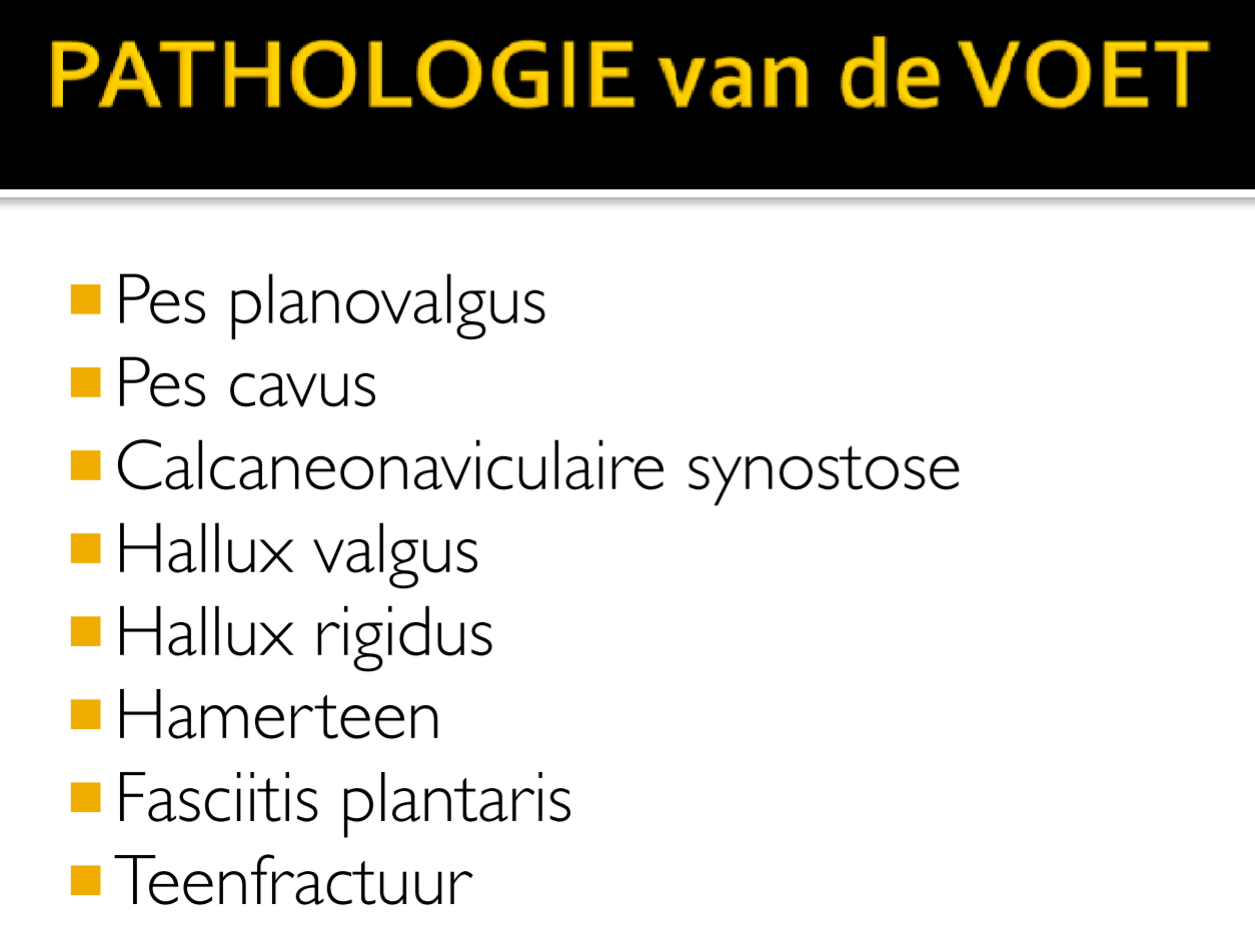 Untitled 1 17.png|Untitled 1 17.png