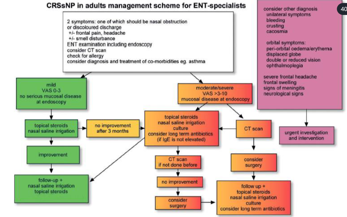 Untitled 1 21.png|Untitled 1 21.png