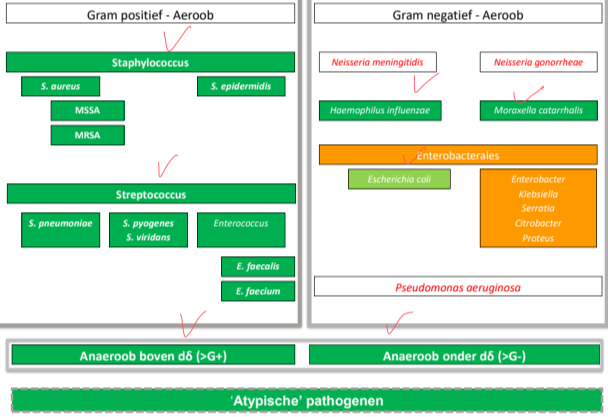 Untitled 1 46.png|Untitled 1 46.png