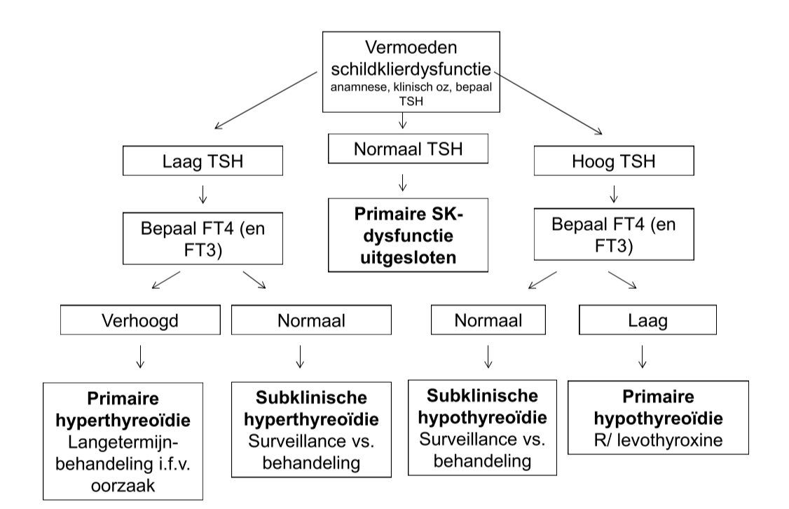 Untitled 1 6.png|Untitled 1 6.png