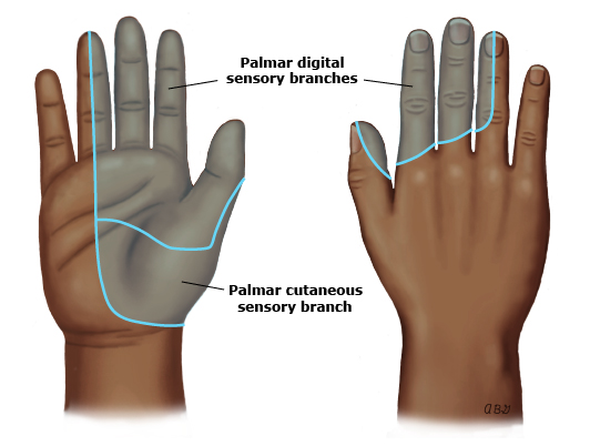 Untitled 10.png|Untitled 10.png