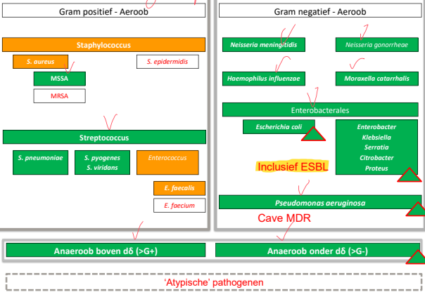 Untitled 109.png|Untitled 109.png