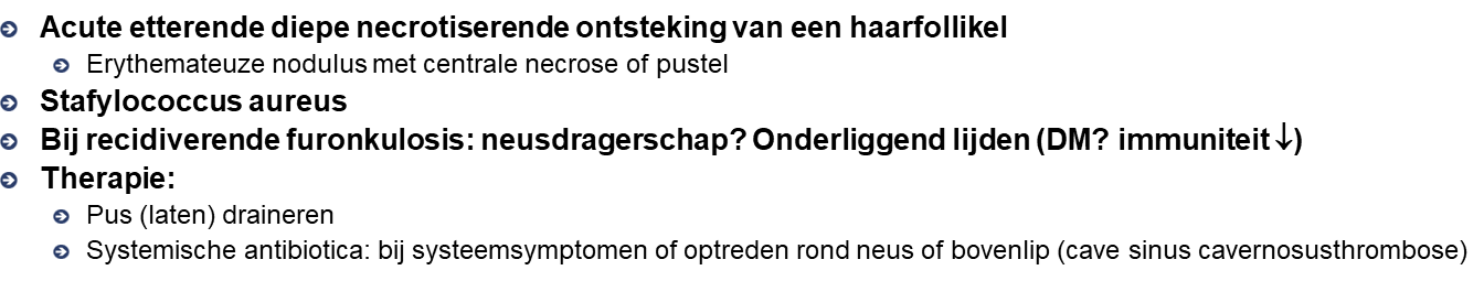 Untitled 11 2.png|Untitled 11 2.png