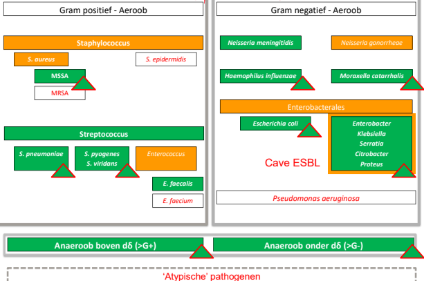 Untitled 110.png|Untitled 110.png