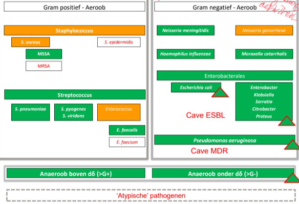 Untitled 111.png|Untitled 111.png