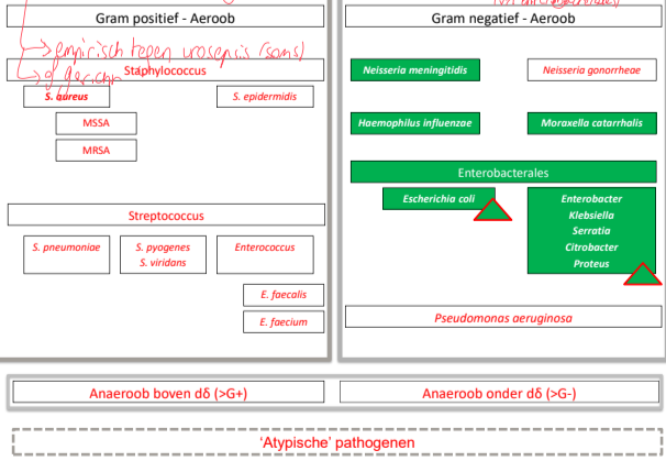 Untitled 112.png|Untitled 112.png