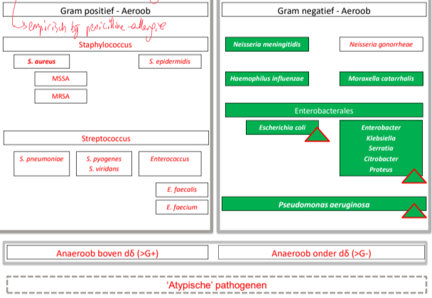 Untitled 113.png|Untitled 113.png