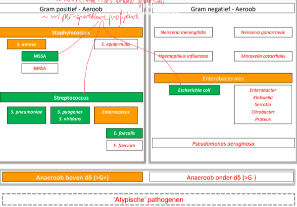 Untitled 114.png|Untitled 114.png