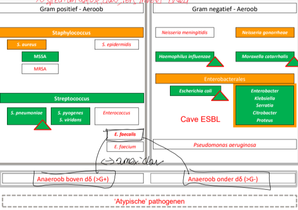 Untitled 115.png|Untitled 115.png