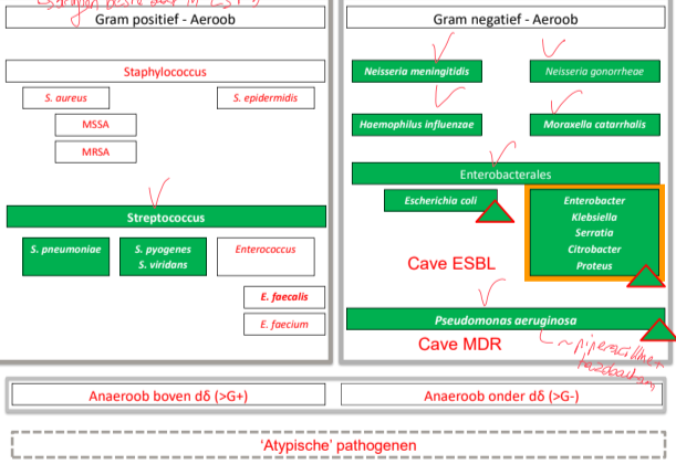 Untitled 116.png|Untitled 116.png