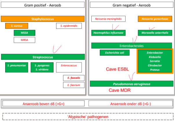 Untitled 117.png|Untitled 117.png