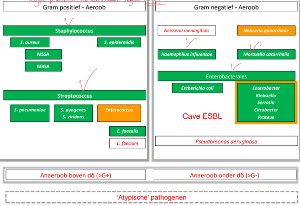 Untitled 118.png|Untitled 118.png