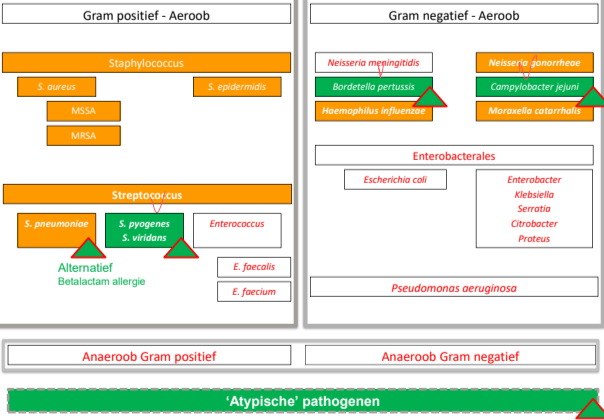 Untitled 119.png|Untitled 119.png