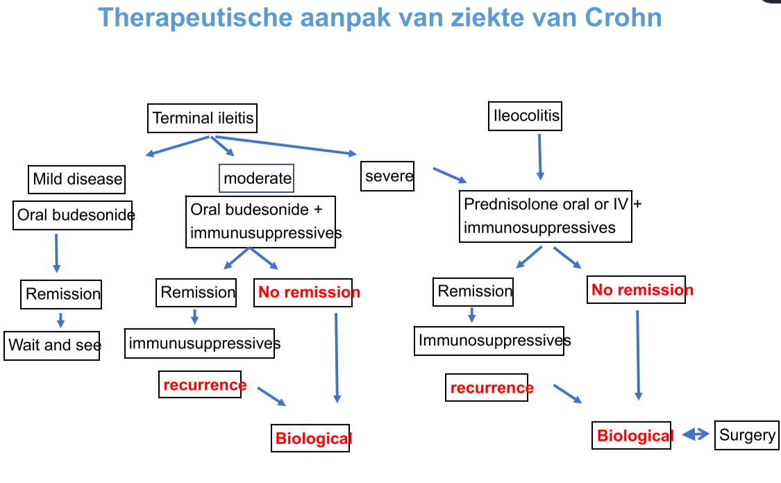 Untitled 12.png|Untitled 12.png