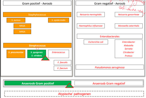 Untitled 120.png|Untitled 120.png