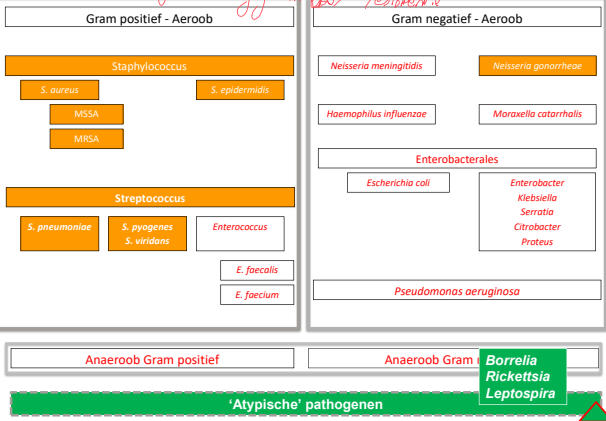 Untitled 121.png|Untitled 121.png