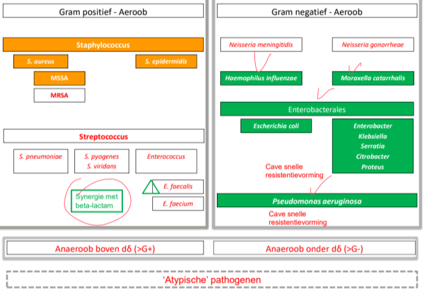 Untitled 122.png|Untitled 122.png