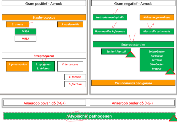 Untitled 123.png|Untitled 123.png