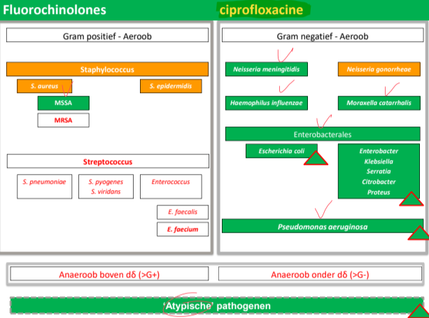 Untitled 124.png|Untitled 124.png