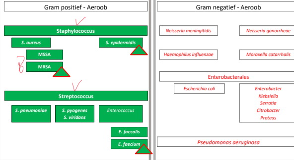 Untitled 125.png|Untitled 125.png