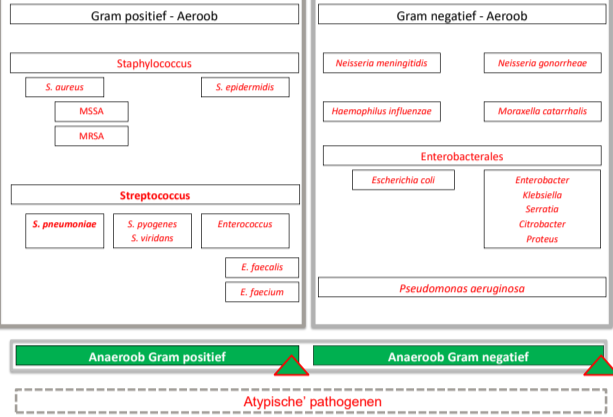 Untitled 126.png|Untitled 126.png