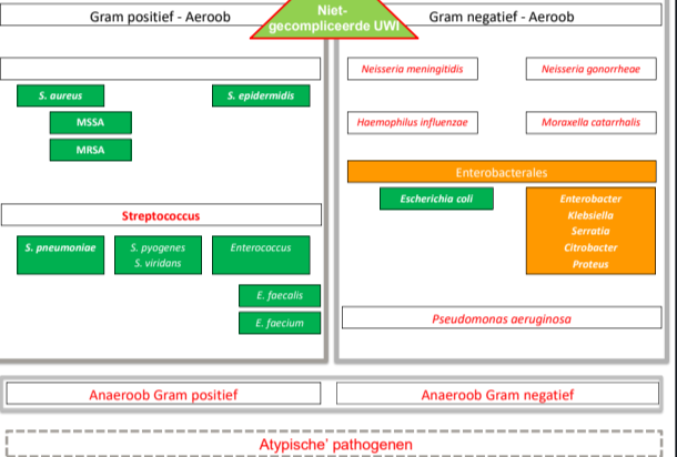 Untitled 127.png|Untitled 127.png