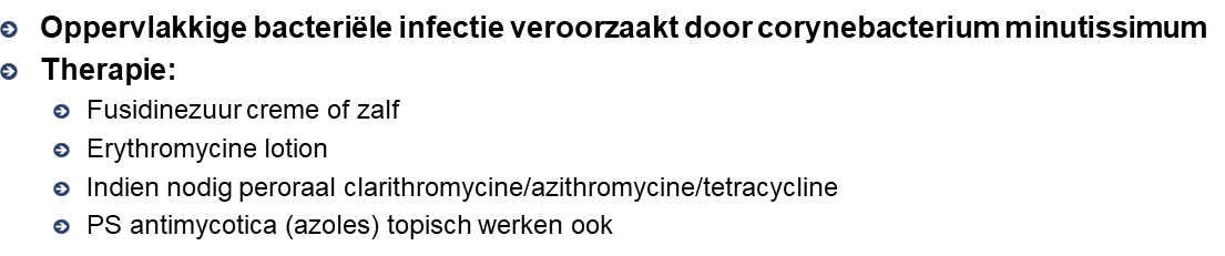 Untitled 13 2.png|Untitled 13 2.png