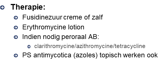 Untitled 14 2.png|Untitled 14 2.png