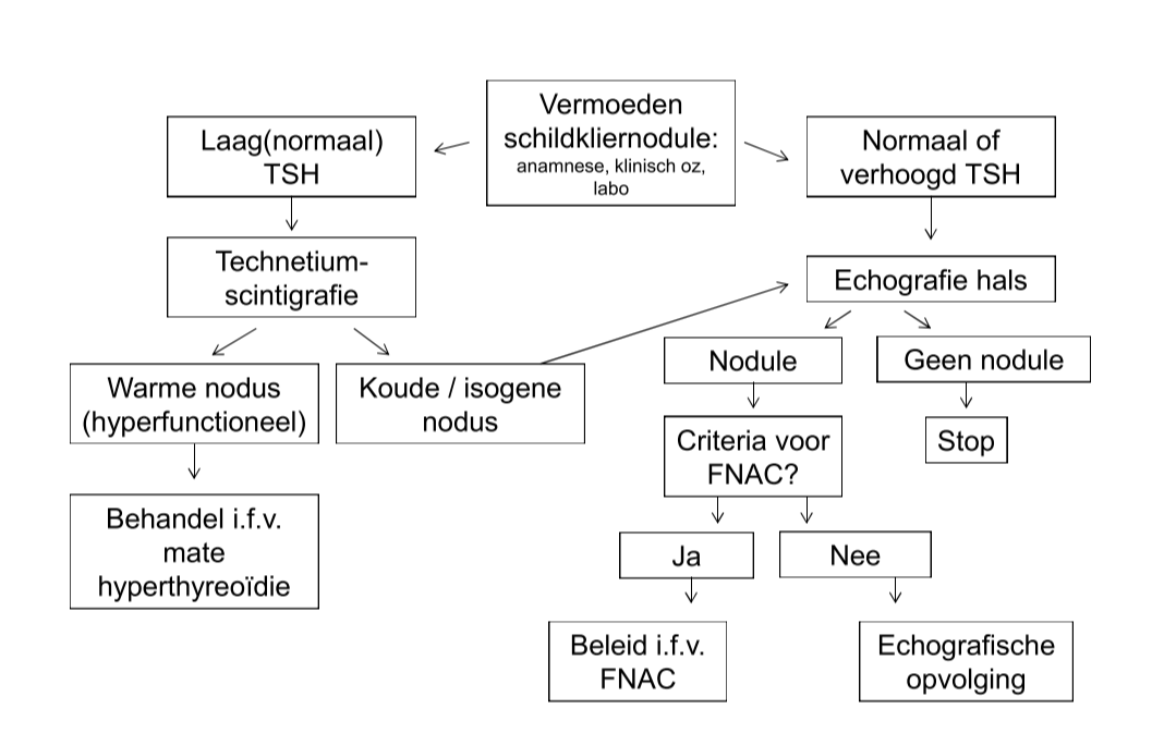 Untitled 14.png|Untitled 14.png