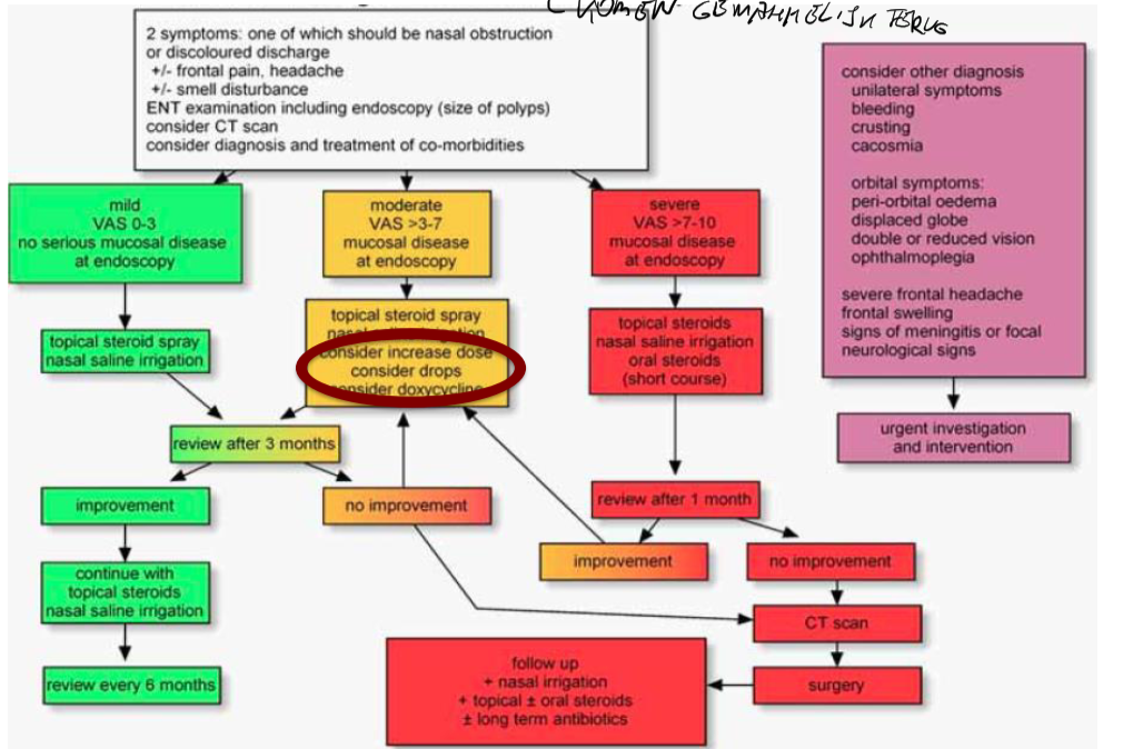 Untitled 2 14.png|Untitled 2 14.png