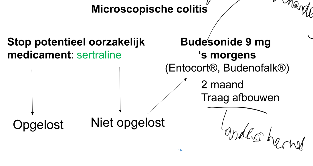 Untitled 3 3.png|Untitled 3 3.png