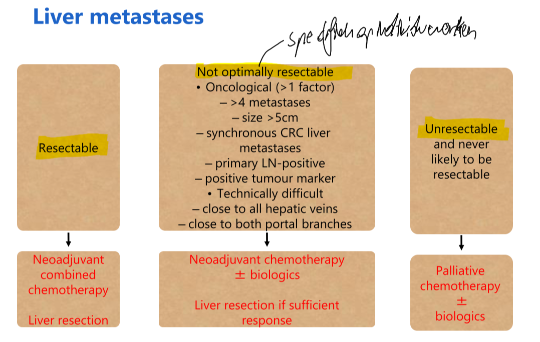 Untitled 3 8.png|Untitled 3 8.png