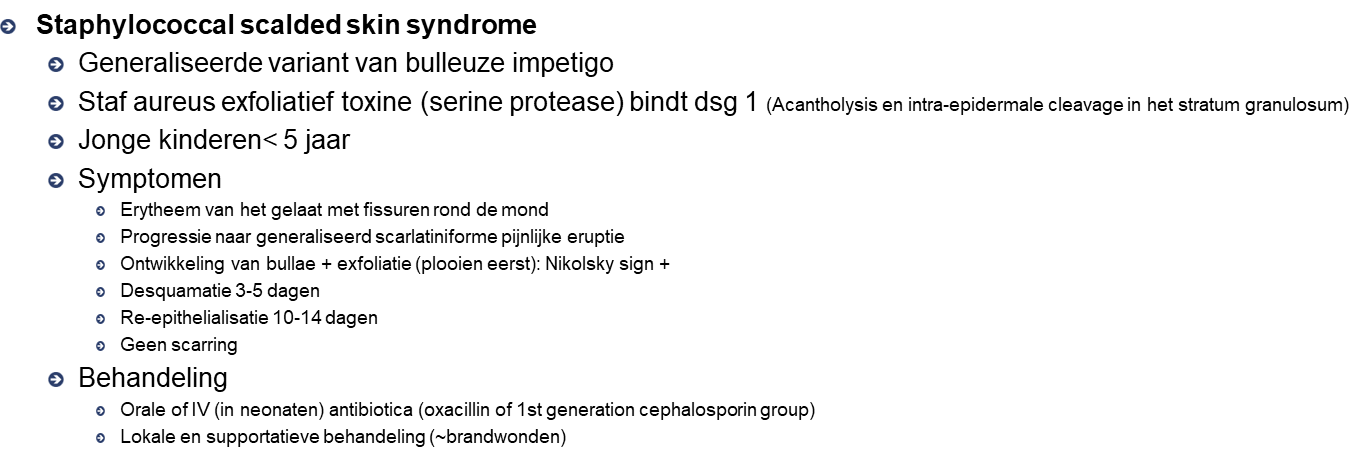 Untitled 4 5.png|Untitled 4 5.png