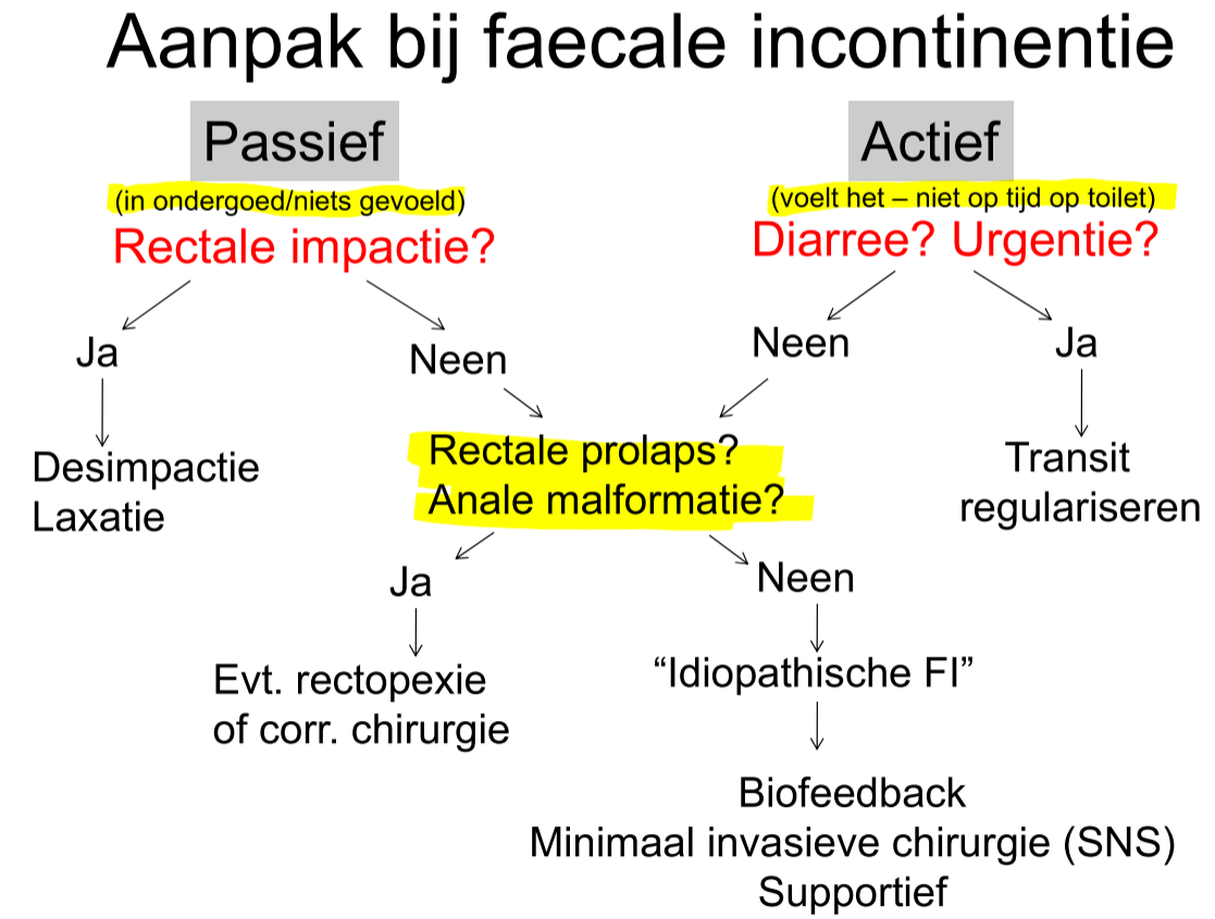 Untitled 44.png|Untitled 44.png