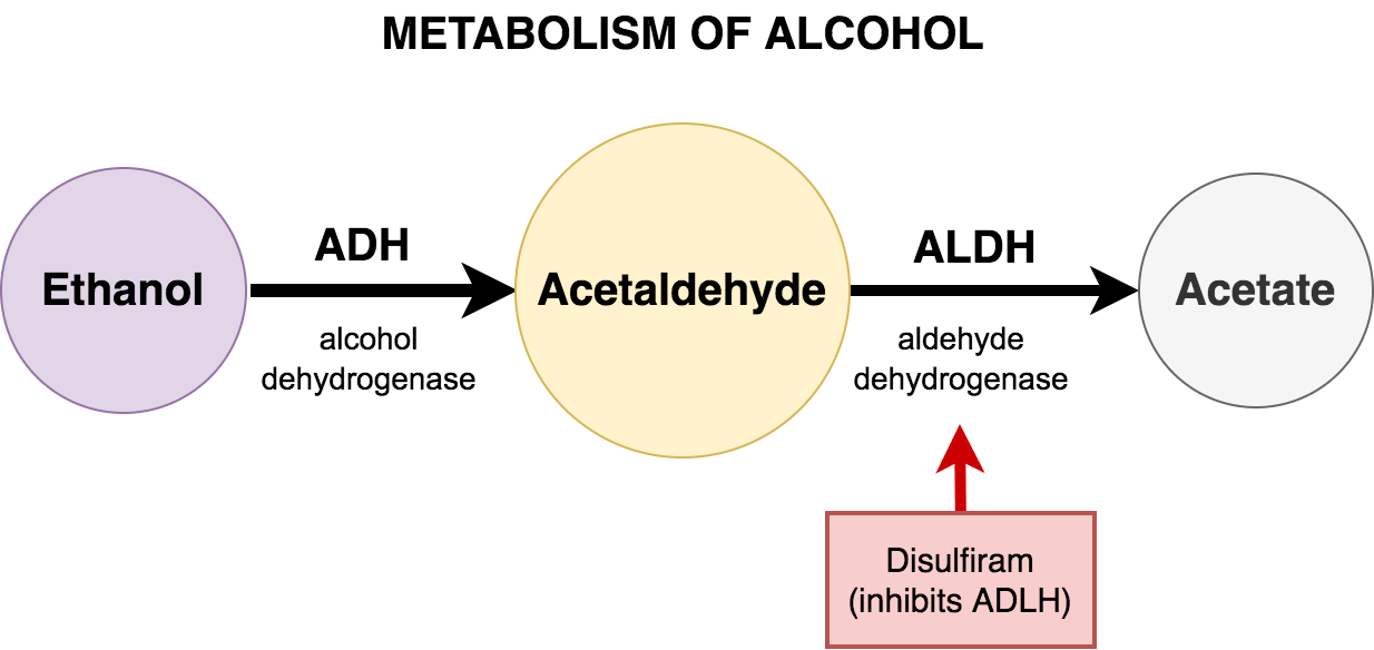 Untitled 49.png|Untitled 49.png