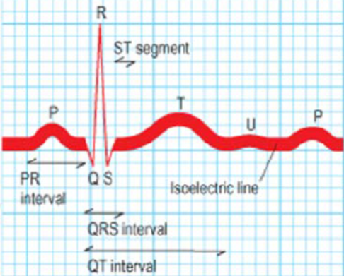 Untitled 5 10.png|Untitled 5 10.png