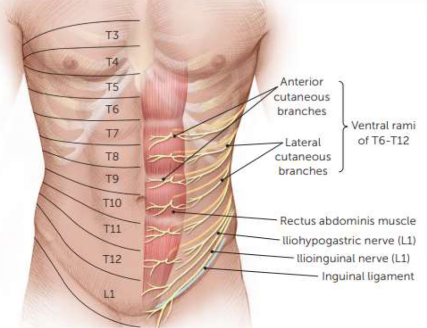 Untitled 56.png|Untitled 56.png