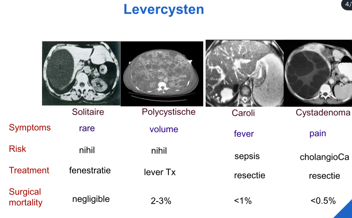 Untitled 58.png|Untitled 58.png