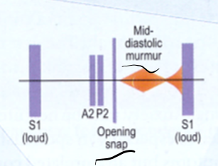 Untitled 59.png|Untitled 59.png