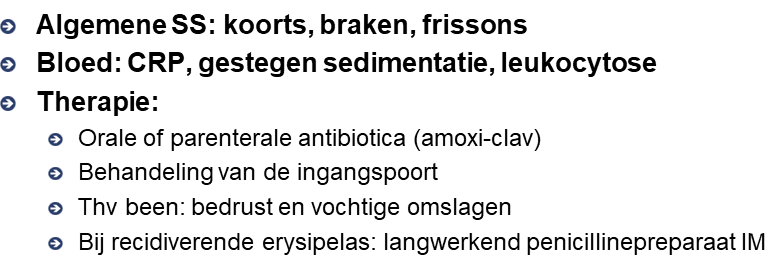 Untitled 6 5.png|Untitled 6 5.png