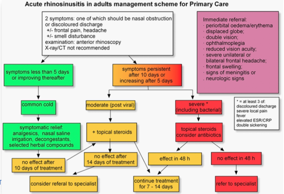 Untitled 66.png|Untitled 66.png