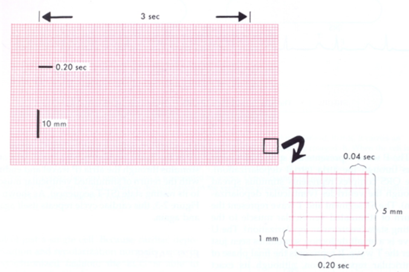 Untitled 7 7.png|Untitled 7 7.png