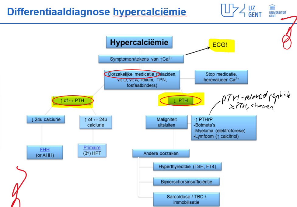 Untitled 74.png|Untitled 74.png